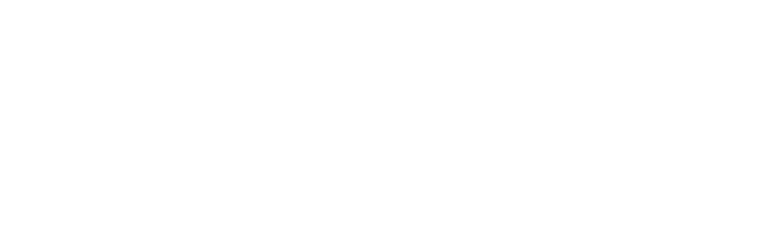 Crazy New Year Festival